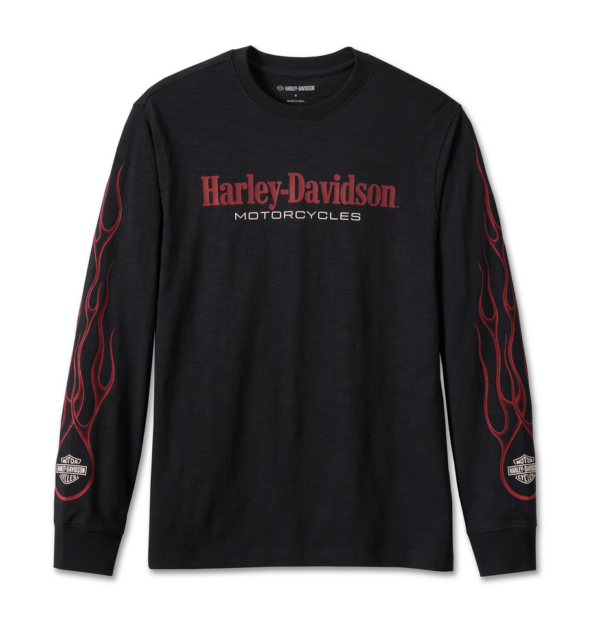 Harley-Davidson "In Flames" Tee - Black Beauty 96207-24VM