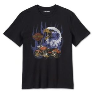 Harley-Davidson Herren T-Shirt H-D Eagle Rider schwarz 96027-25VM