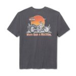T-Shirt in grau von Harley-Davidson mit Sonnenuntergang am Rücken